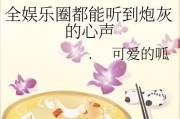 全娱乐圈都吃瓜的小说,全民吃瓜，揭秘明星背后的秘密